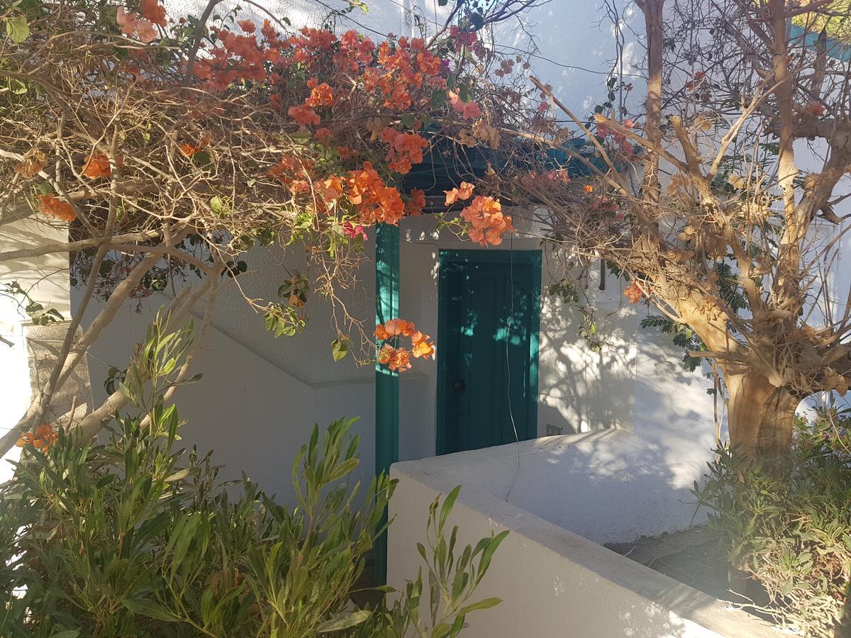 Lilly Rooms And Studio Χουργκάντα Εξωτερικό φωτογραφία